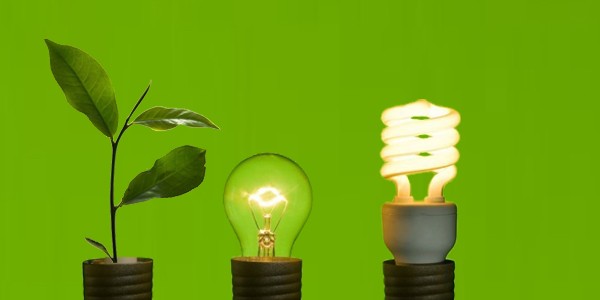Trở thành doanh nghiệp xanh với đèn LED 1