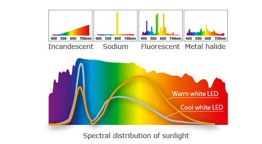 Quang phổ của các loại đèn khác nhau