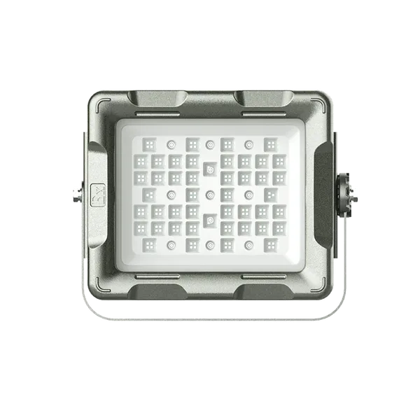 Đèn pha LED chống cháy nổ 100W OHBF8260 mẫu lớn góc chiếu 110° - ảnh 2