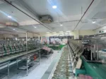 Dự án đèn LED chiếu sáng xưởng may TMI