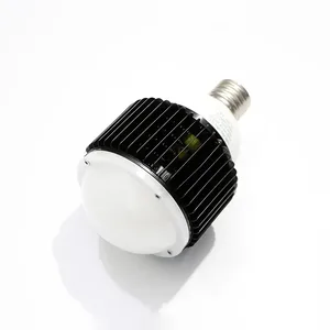 Bulb